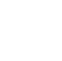 Icon - Visao